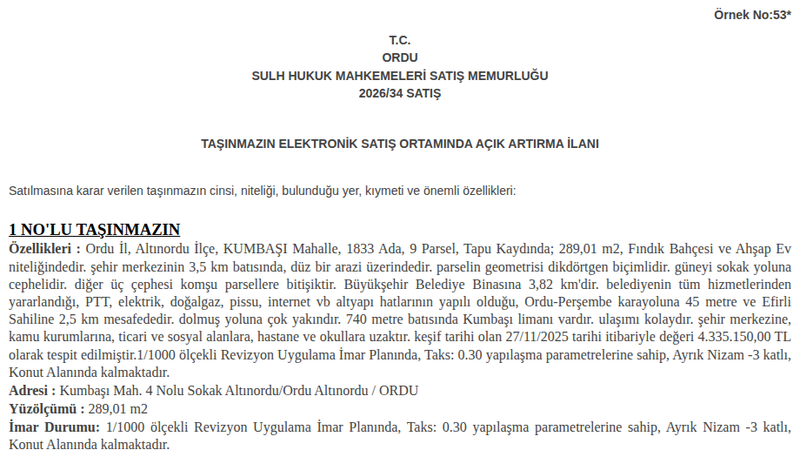 Konut - ORDU ALTINORDU - 289,01 m²