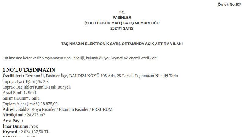 Arsa/Arazi - ERZURUM PASİNLER - 28,88 m²