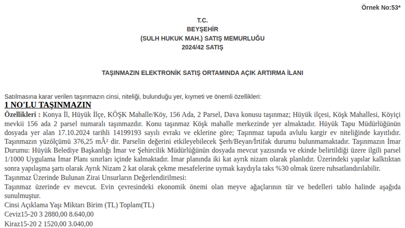 Konut - KONYA HÜYÜK - 376,25 m²