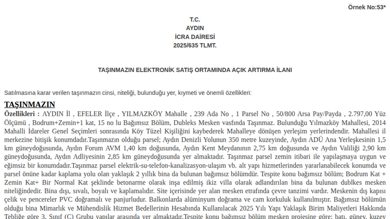 Konut - AYDIN EFELER - 203,75 m²