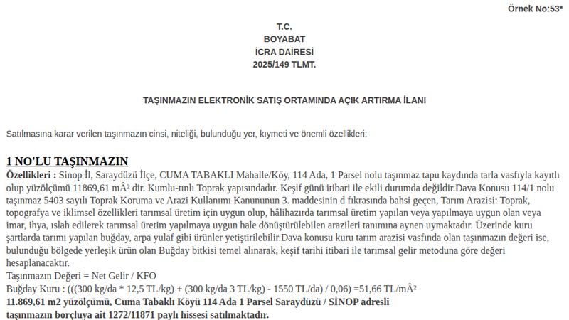 Satılık Tarla - Sinop Saraydüzü