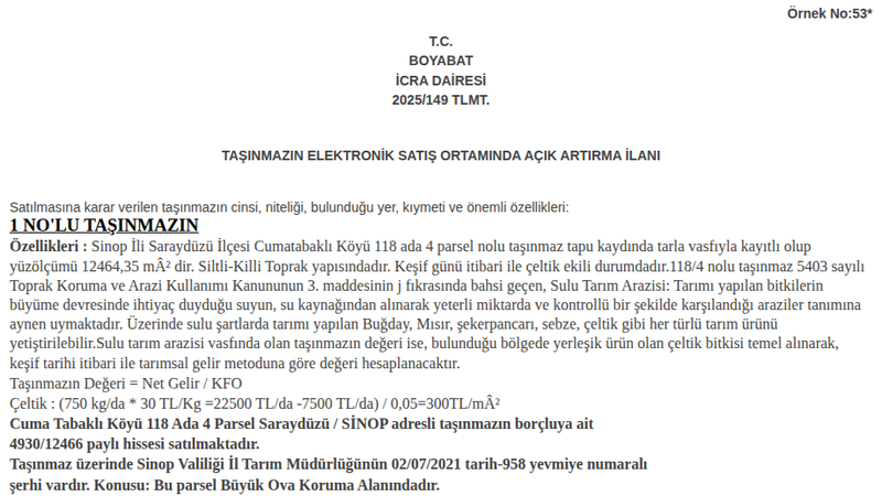 Satılık Tarla - Sinop Saraydüzü