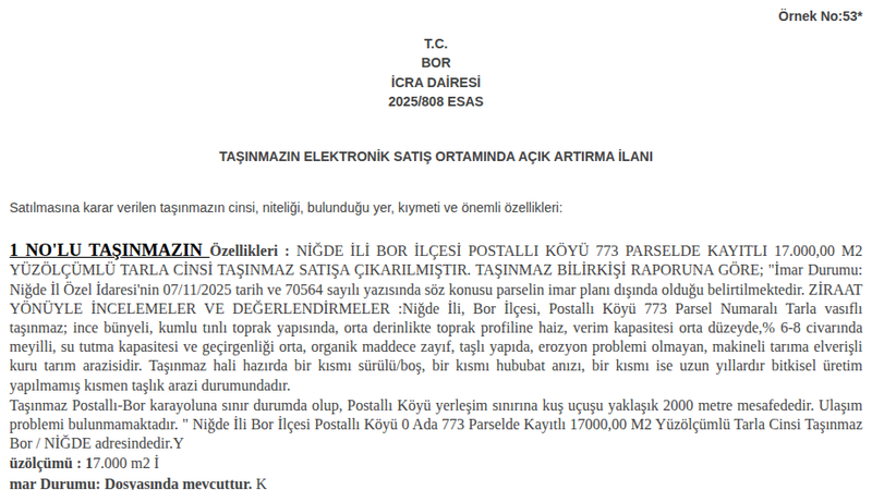 Arsa/Arazi - NİĞDE BOR - 7.000 m²