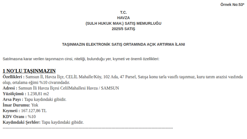 Arsa/Arazi - SAMSUN HAVZA - 238,81 m²