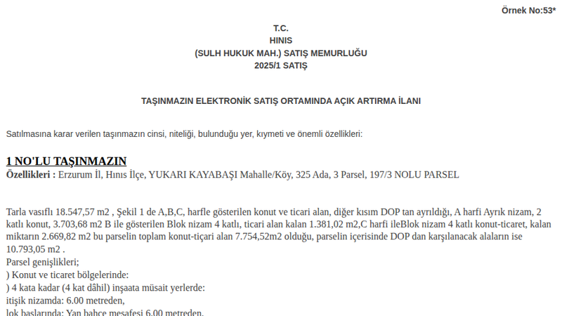 Konut - ERZURUM HINIS - 547,57 m²