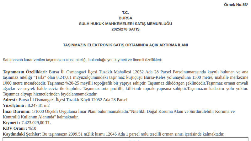 Arsa/Arazi - BURSA OSMANGAZİ - 247,81 m²