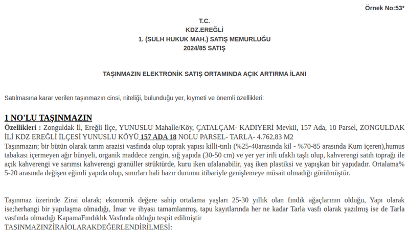 Satılık Tarla - Zonguldak Ereğli