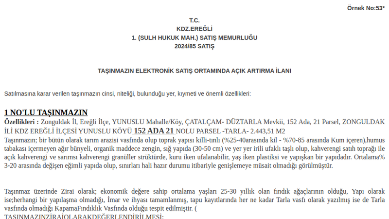 Satılık Tarla - Zonguldak Ereğli