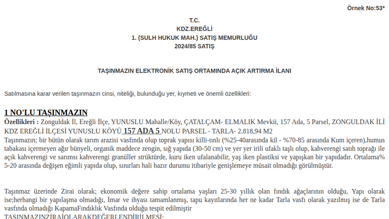 Satılık Tarla - Zonguldak Ereğli