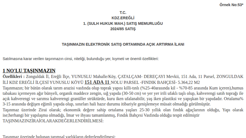 Satılık Bahçe - Zonguldak Ereğli