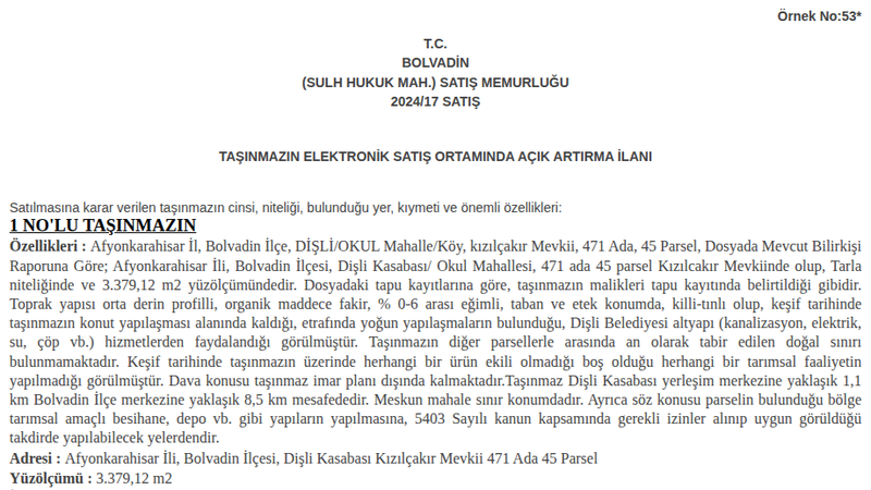 Konut - AFYONKARAHİSAR BOLVADİN - 379,12 m²