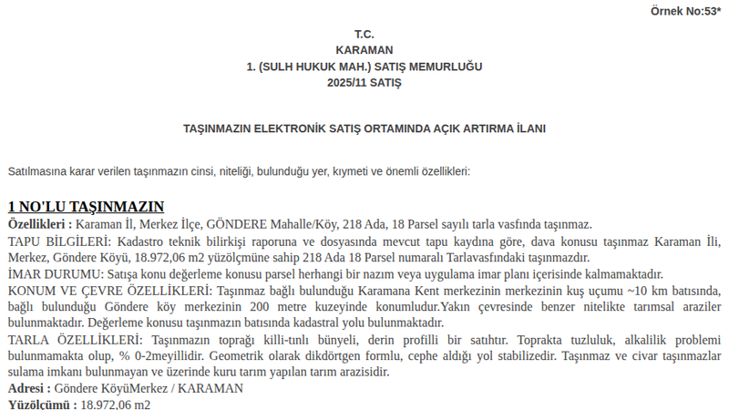 Satılık Tarla - Karaman Merkez
