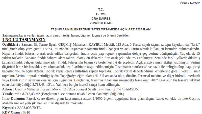 Satılık Tarla - Samsun Terme