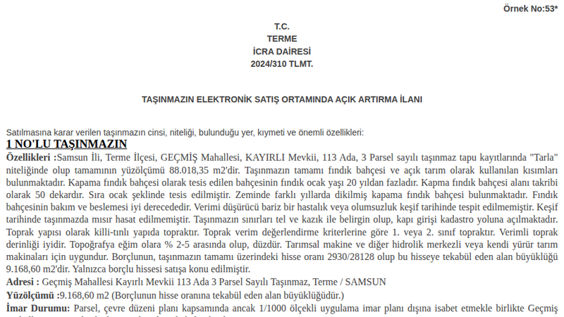 Satılık Tarla - Samsun Terme