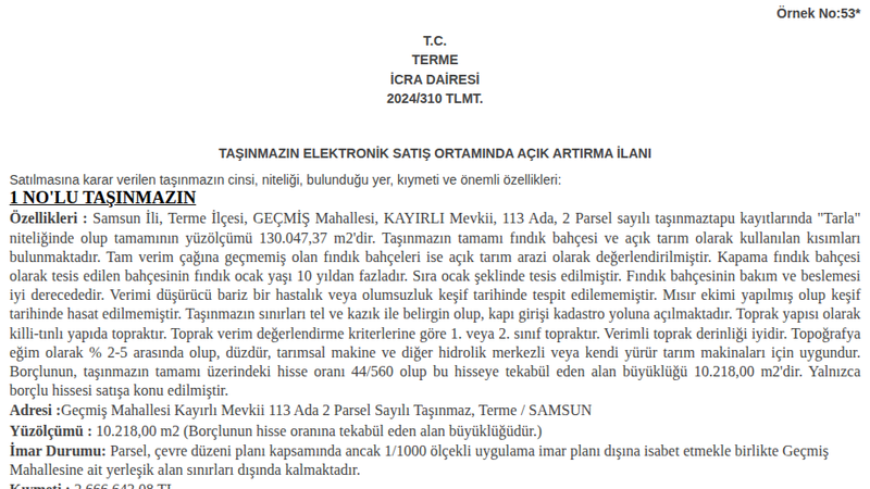 Satılık Tarla - Samsun Terme