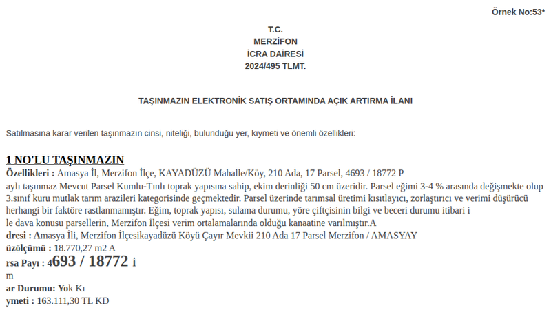 Satılık Konut - Amasya Merzifon