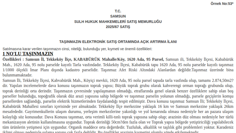 Satılık Tarla - Samsun Tekkeköy