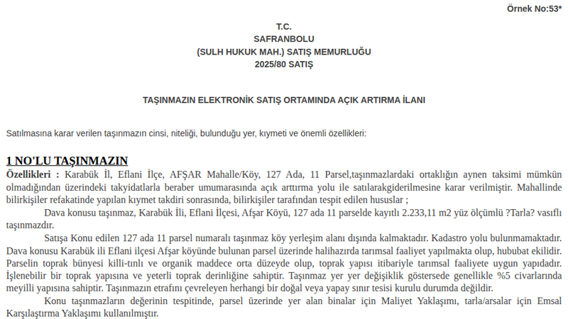 Satılık Tarla - Karabük Eflani