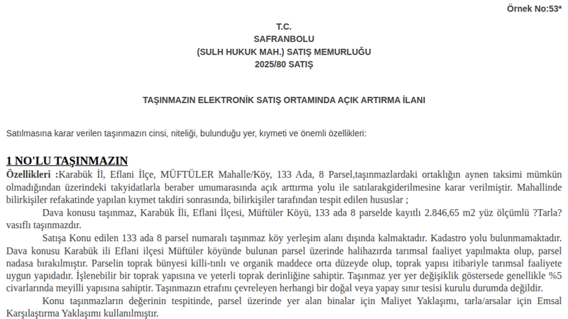 Satılık Tarla - Karabük Eflani
