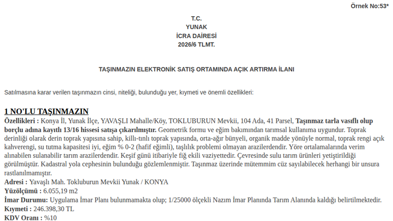 Satılık Tarla - Konya Yunak