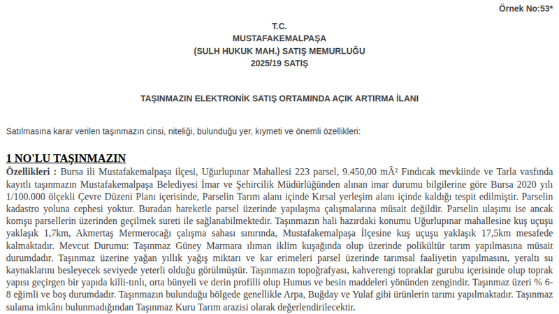 Satılık Tarla - Bursa Mustafakemalpaşa