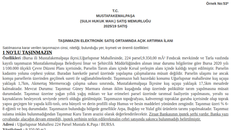 Satılık Tarla - Bursa Mustafakemalpaşa