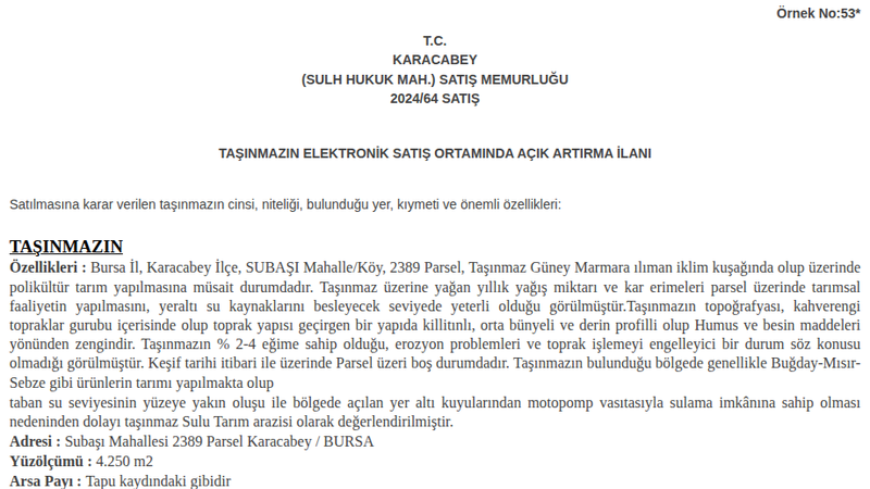 Satılık Arsa/Arazi - Bursa Karacabey