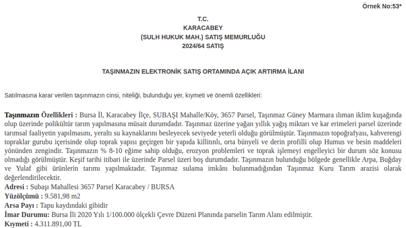Satılık Arsa/Arazi - Bursa Karacabey