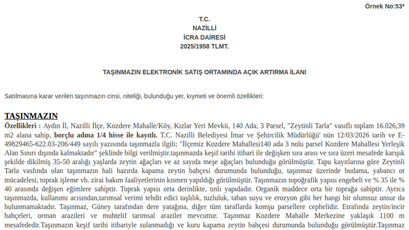 Satılık Tarla - Aydın Nazilli