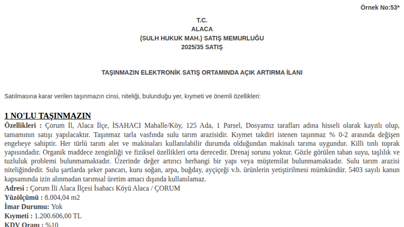 Arsa/Arazi - ÇORUM ALACA