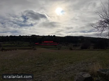 Arsa/Arazi - KASTAMONU TOSYA