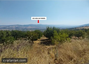 Satılık Tarla - Tokat Merkez