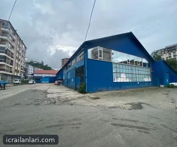 İşyeri - RİZE MERKEZ - 275 m²