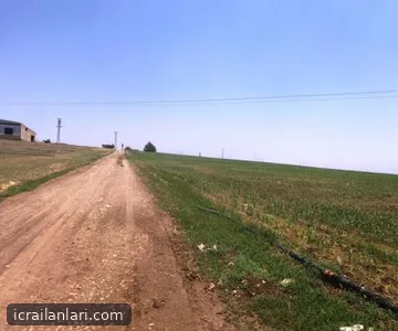 Satılık Tarla - Şanlıurfa Ceylanpınar