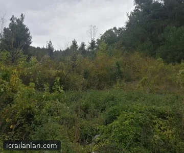 Arsa/Arazi - BURSA OSMANGAZİ - 2.199,50 m²