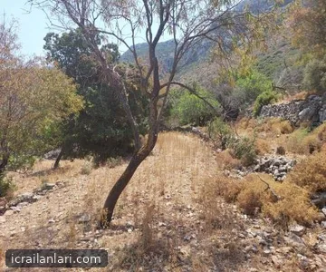 Arsa/Arazi - MUĞLA MARMARİS - 1.196,89 m²