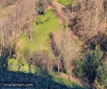 Arsa/Arazi - ARTVİN HOPA - 2.921,51 m²
