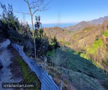 Arsa/Arazi - ARTVİN HOPA - 3.921,16 m²