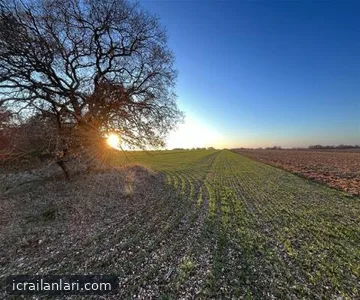 Arsa/Arazi - KIRKLARELİ LÜLEBURGAZ - 15.000 m²