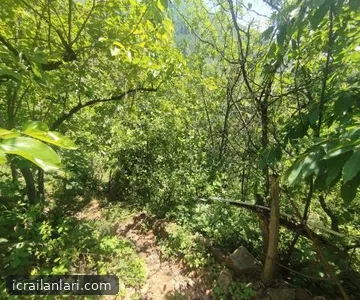Satılık Tarla - Artvin Merkez