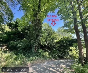 Arsa/Arazi - DÜZCE MERKEZ - 6.977,23 m²