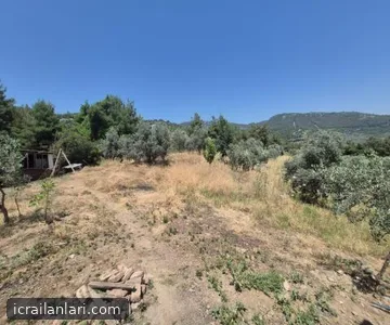 Arsa/Arazi - İZMİR SELÇUK - 4.646,46 m²