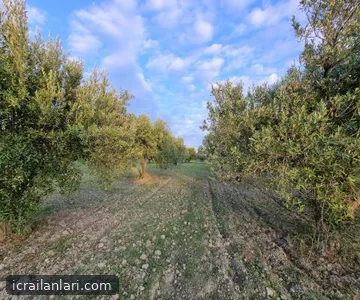Arsa/Arazi - MANİSA AKHİSAR - 4.640 m²