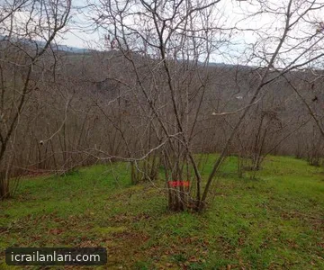 Arsa/Arazi - SAKARYA KARASU - 2.803,56 m²