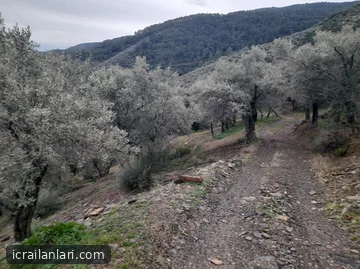 Arsa/Arazi - İZMİR BAYINDIR - 5.422,98 m²