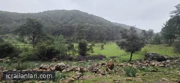 Satılık Tarla - Muğla Ortaca