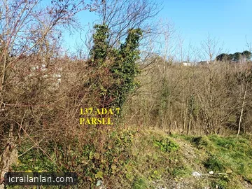 Satılık Bahçe - Zonguldak Çaycuma