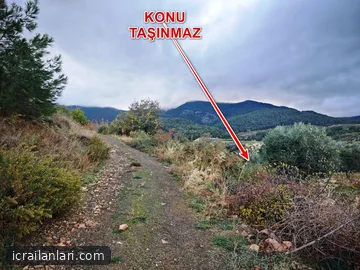 Satılık Bahçe - Aydın Karacasu