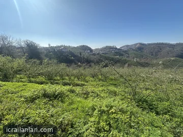 Arsa/Arazi - DÜZCE AKÇAKOCA - 14.263,94 m²