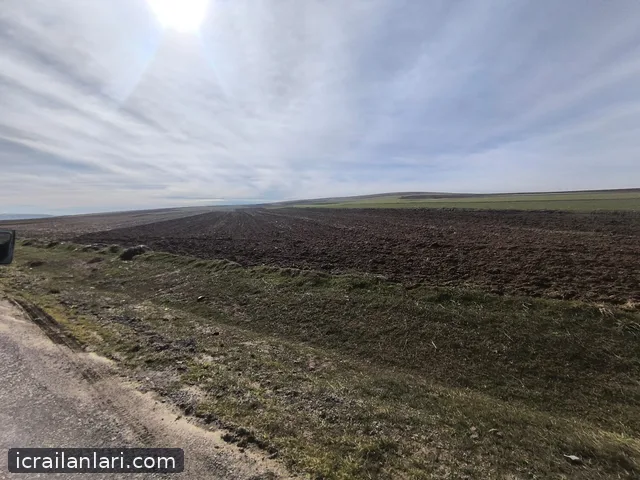 Satılık Tarla - Yozgat Sarıkaya ilan görseli 1